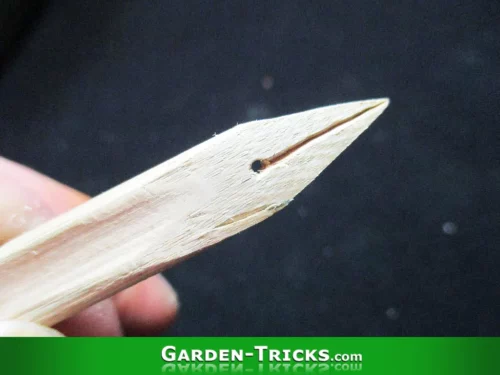 Schreibfedern kann man auch aus Bambus herstellen. Nicht so haltbar wie auss Stahl, aber billig und schnell gebastelt.