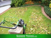 Der clevere Gärtner bedient sich vieler Gartentricks. Statt das Herbstlaub kräftezehrend aufzusammeln mäht er es einfach weg. Das funktioniert sowohl auf dem Rasen, als auch auf der Straße.