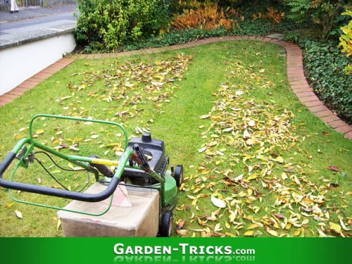 Der clevere Gärtner bedient sich vieler Gartentricks. Statt das Herbstlaub kräftezehrend aufzusammeln mäht er es einfach weg.