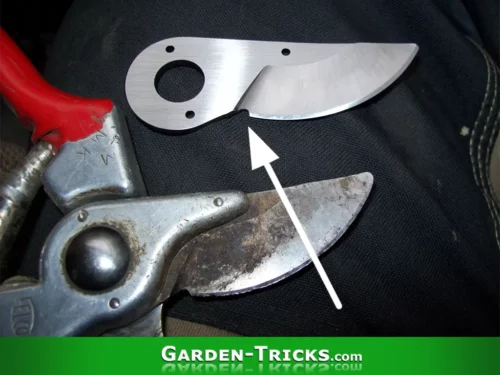 Mit einer professionellen Gartenschere kann man auch Draht schneiden. Dafür gibt es eine extra Aussparung.