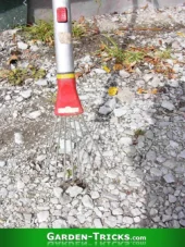 Ein Handrechen, den man auf einen Stiel stecken kann ist äußerst nützlich in Rosenbeeten.