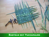 Faserigen Blätter der Yucca eignen sich sehr gut zum basteln.